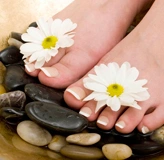 Спа-педикюрные комплексы: оборудование Премиум класса